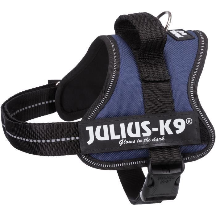 JULIUS K9 Harnais Power Mini–M : 51–67 cm - 28 mm - Indigo - Pour chien
