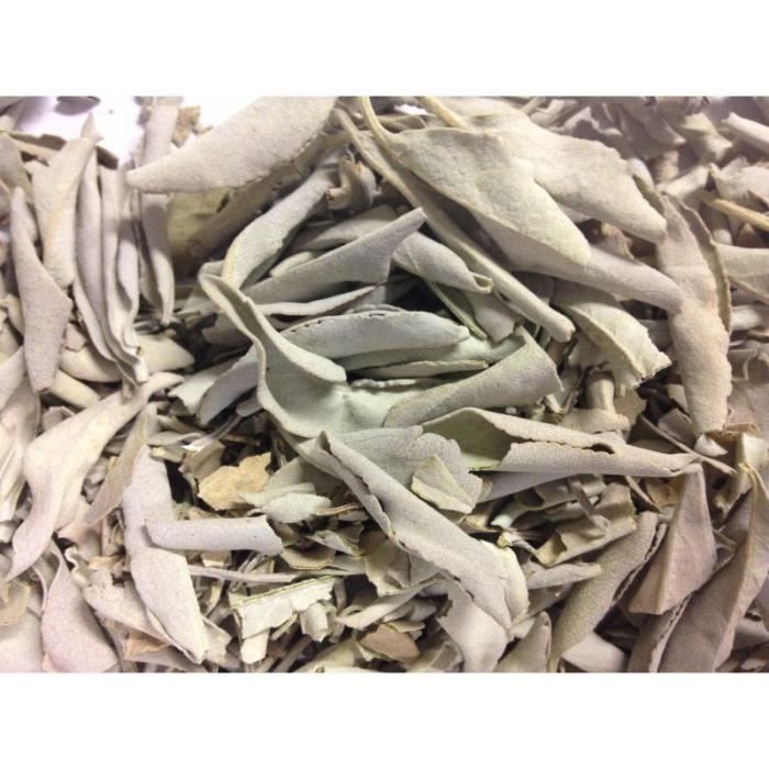 Sauge blanche en feuille