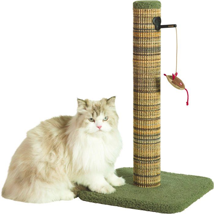 Poteau Griffoir Chat ZOLUX Sisal – Avec Jouet Suspendu