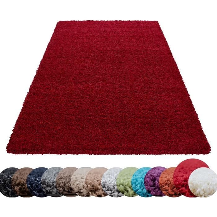 Tapis Salon Moderne Tapis Chambre Adulte Tapis Rouge 100X200 Cm Coureur ...