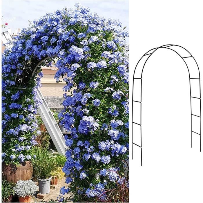 Arche De Jardin En Fer Forgé Noir - Hauteur 230 Cm, Largeur 200 Cm - Tonnelle Pour Plantes Grimpantes, Décoration Mariage - Montage Facile