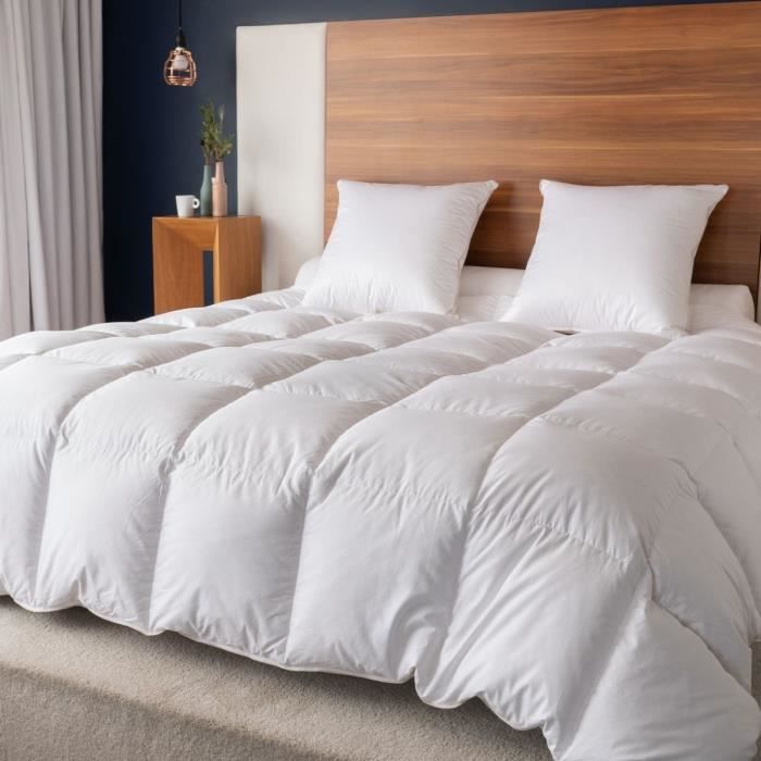 CASTEX COUETTES NATURELLES Couette naturelle chaude en duvet et coton bio 260x240 cm