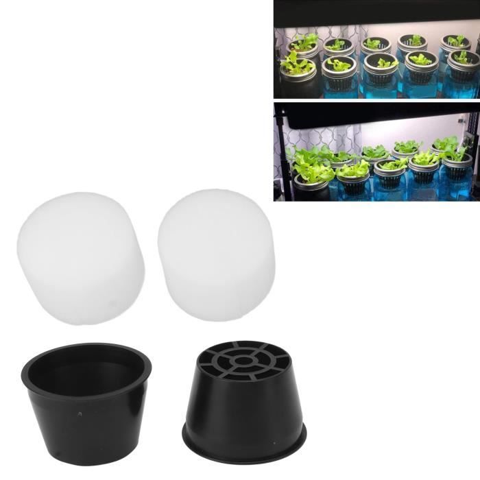 Lot De 60 Éponges De Croissance QWORK - Cubes Hydroponiques Pour Germination Et Culture