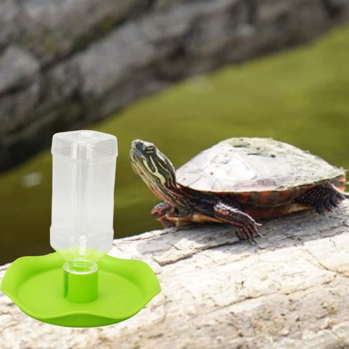 Meilleurs prix pour CYA Bol d'eau de Nourriture pour Reptiles , Accessoire Tortue Terrestre, Abreuvoir Tortue , pour Petits NOUVEAU
