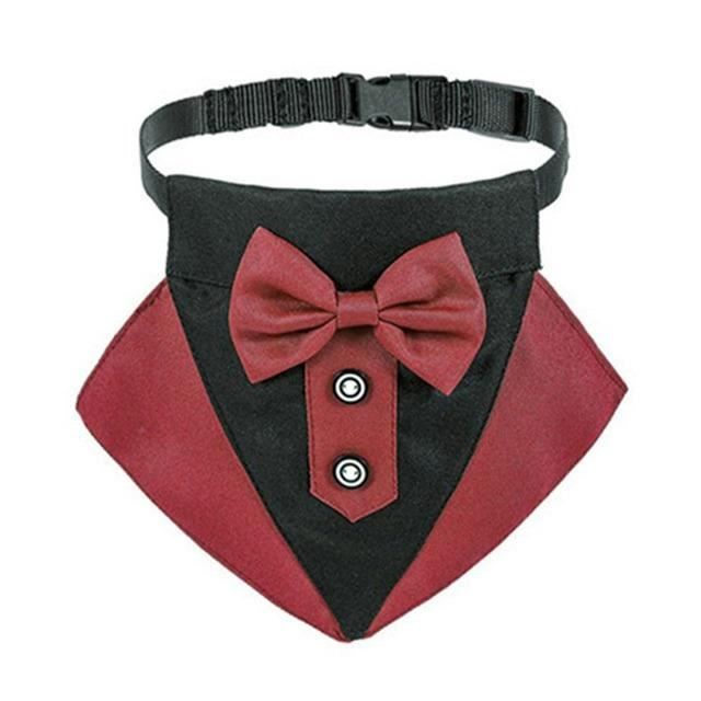 Costume Chien Formel Avec Chapeau Haut-de-forme Et Nœud Papillon - Pour Mariage, Anniversaire, Photo - Taille Réglable - 7