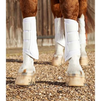 Bottes à Brosser Premier Equine Air Tech – Blanches – Taille Moyenne – Occasion