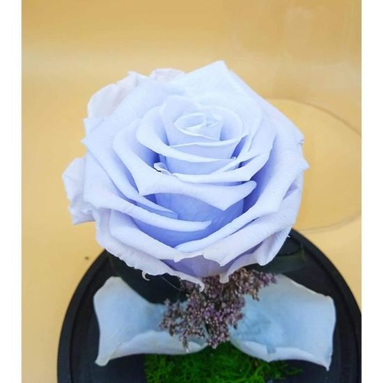 Dôme avec rose éternelle violette. Hauteur : 30 cm. Rose éternelle  préservée violette. Fabriqué en Espagne.[939] - Cdiscount Maison