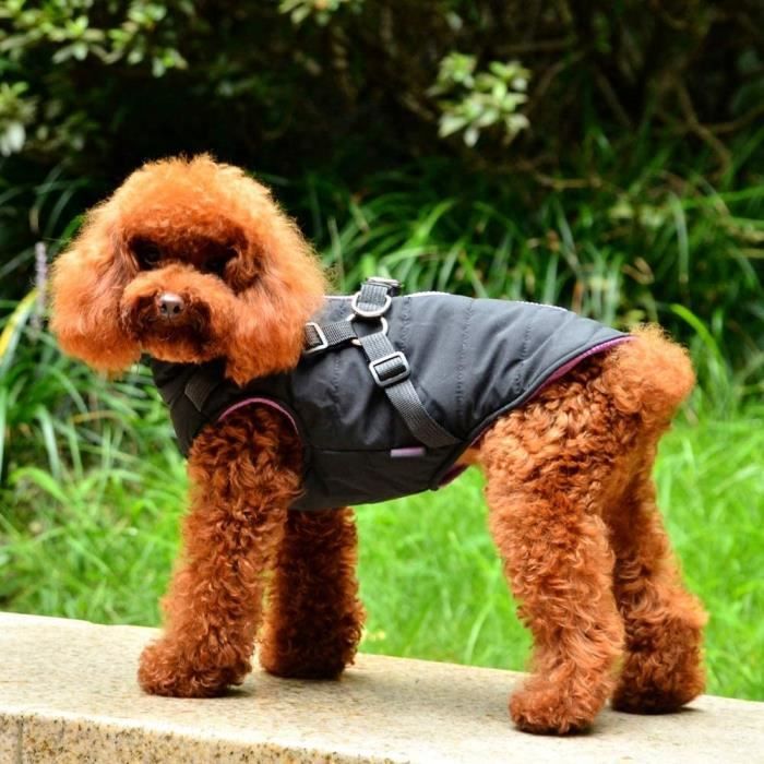 Manteau chaud et imperméable pour chien outlet
