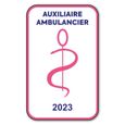 Autocollant Sticker - Vignette Caducée 2023 pour Pare Brise en Vitrophanie - V6 Auxiliaire Ambulancier -0