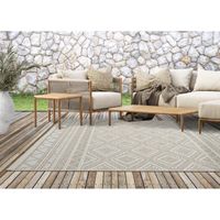 Tapis de Salon ou Terrasse en beige 160x220 | Tapis plat moderne | Rectangulaire | Interieur et Exterieur - The Carpet Ottowa