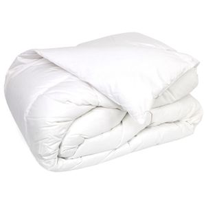 Disponible en Plusieurs Dimensions Couette sp/écial Hiver 400g//m2 Savel 140x200cm