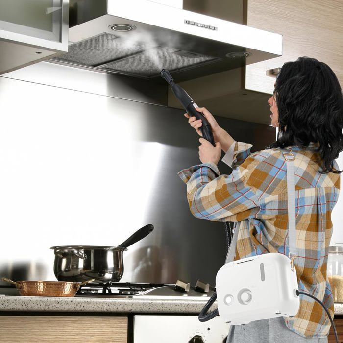 GIANTEX 1500W Nettoyeur à Vapeur Portable avec Réservoir de 1L-Pression 3 Bars 180°C-Fonction à 27 Mins-pour Tapis/Rideaux Blanc - Giantex