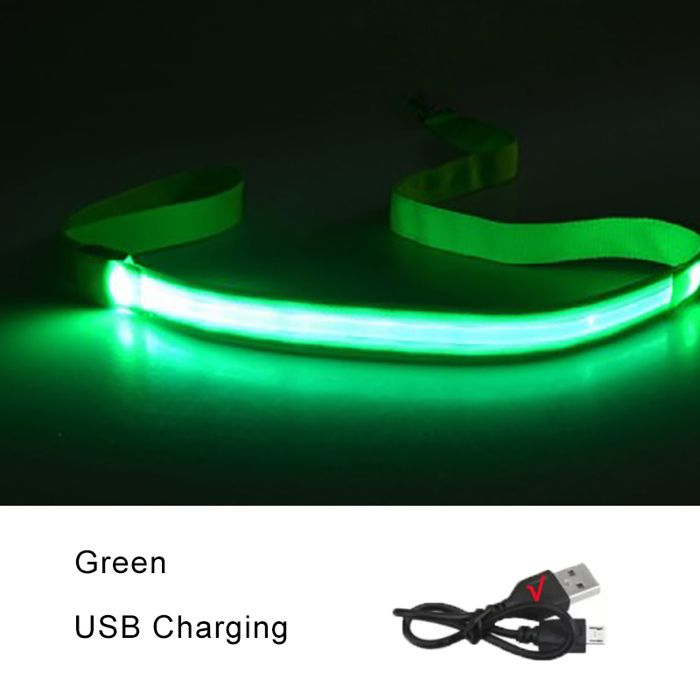 Laisse lumineuse pour chien - Phoesky - LED clignotante - 120x2 5 cm - Chargement USB - Vert - Étanche - Sangle en nylon