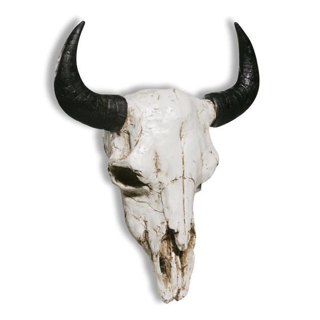 statuettedeco statuette crâne de bison géant mural INCONNU