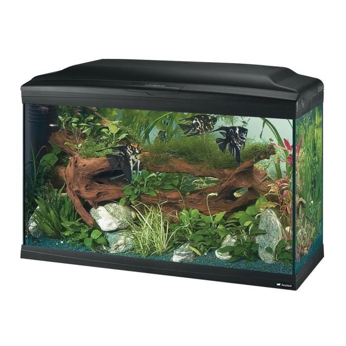 Verre Aquarium Rectangulaire Cayman 80 Aquarium En Verre Noir 81 5x46x52 5 Cm Achat Vente