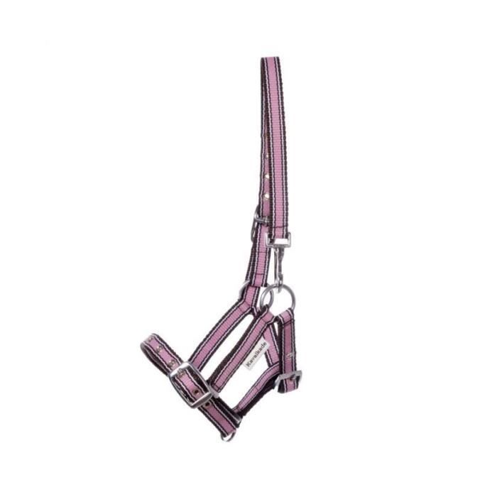 QHP Licol Réglable Pour Poulain - Nylon 3 Points - Tailles Shetty à Warmblood - Couleur Noir
