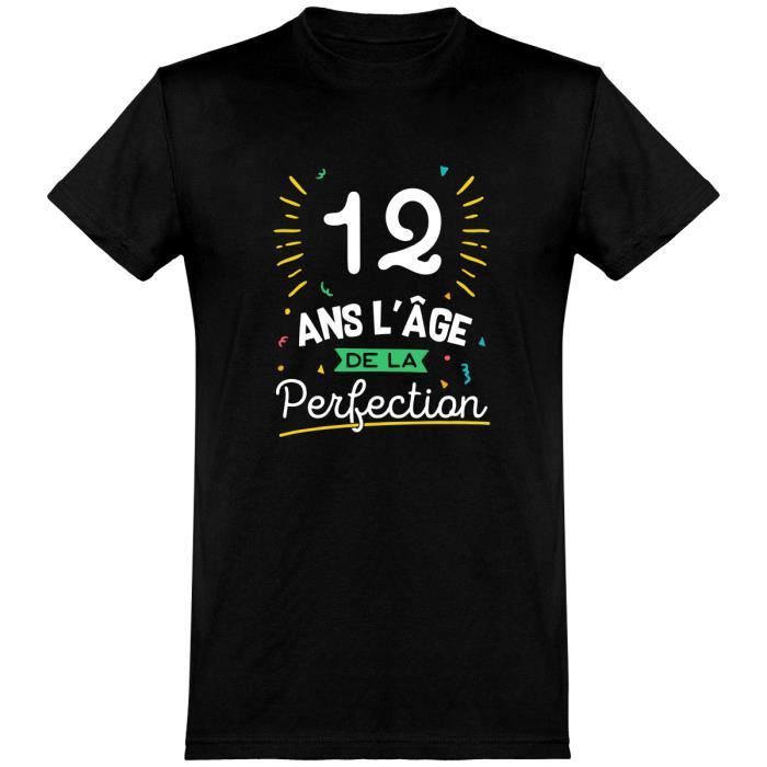 Tee Shirt Homme Humour Cadeau Imprime En France 100 Coton 185gr 12 Ans La Perfection Achat Vente T Shirt Cdiscount