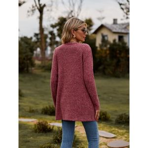 Cardigan Grande Taille Avec Fermeture éclair - Femme, Manches Longues, Capuche, Pour Automne/hiver