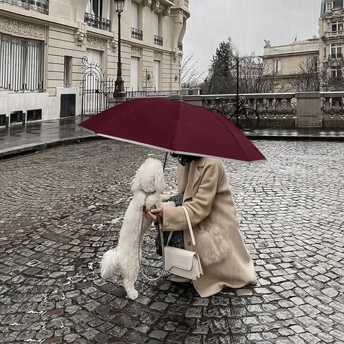 Parapluie Pliant Résistant Au Vent 20 Pouces - Léger En Alliage Aluminium - Compact Pour Randonnée, Voyage, Camping