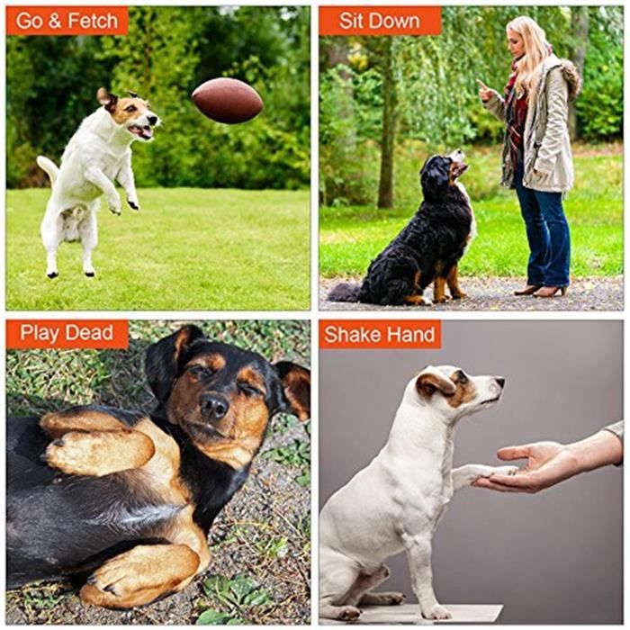 Sifflet Chien, Sifflet Ultrason Chien, Sifflet Chien Rappel, 2 Pièces