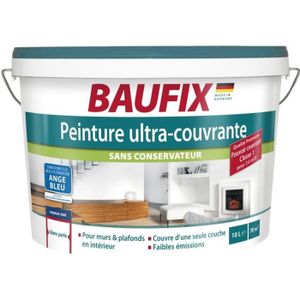 Peinture Sol Lidl