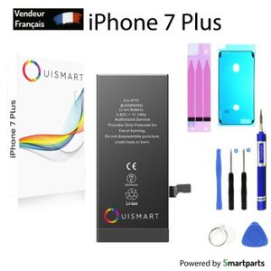Batterie Interne De Remplacement Pour IPhone 6 Plus - Neuve, Compatible Modèles A1522/A1524/A1593