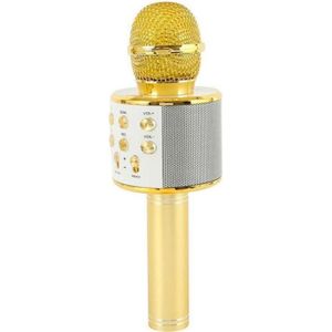 Microphone de Karaoké à Changement de Voix, MC-093 Mini Microphone  Universel Microphone de Changeur de Voix de Diffusion en Direct de  Célébrités