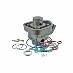 Kit Condensateur + Rupteur Moteur Bernard 415081 + 390 320 - Pour Motoculteur Tondeuse