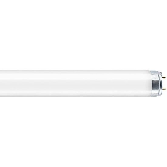 Lot 25 Tubes Fluorescents OSRAM LUMILUX T8 36W – 120 Cm G13 3000K Blanc Chaud 3350 Lumens, Éclairage Économique Longue Durée
