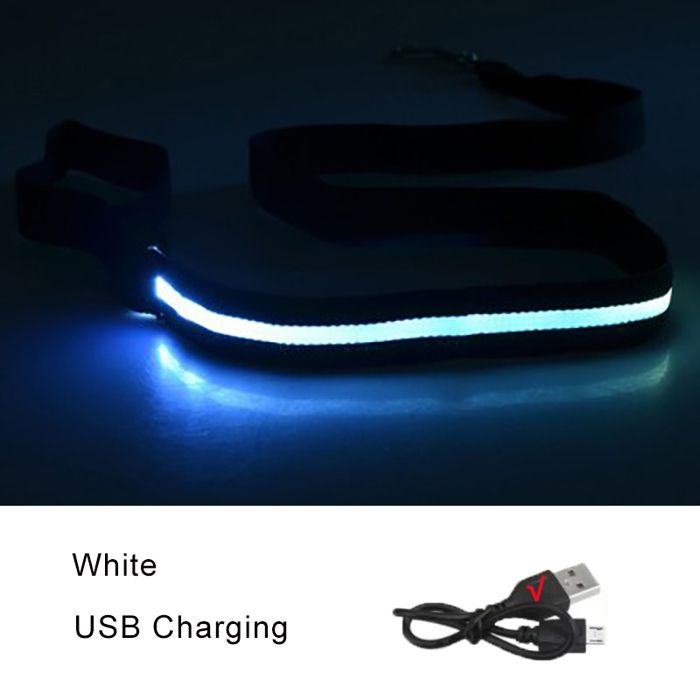 Laisse lumineuse pour chien - Phoesky - LED clignotante - 120x2 5 cm - Chargement USB - Étanche - Sangle en nylon