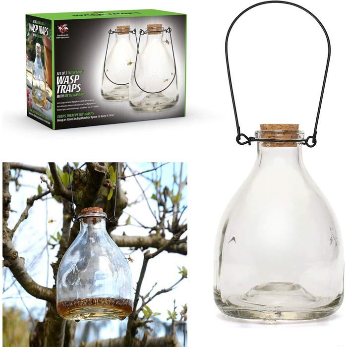 Lot de 2 pièges en Verre avec Cintre en métal Motif Pot de Miel Traditionnel et Attrayant Blanc