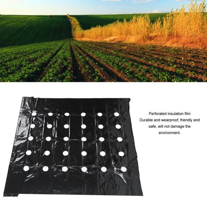 Film de paillage UNIVERSEL, Dimensions 0,95 x 10 m - Jardin