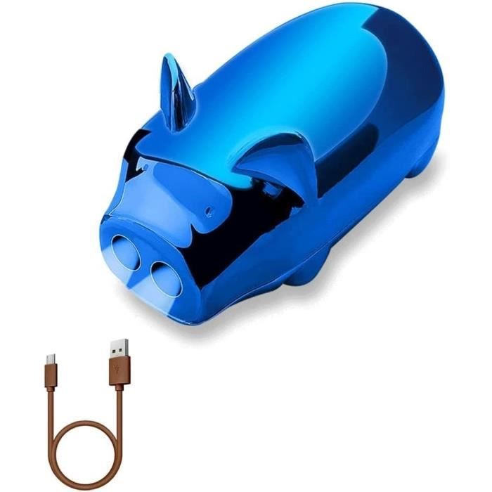 Briquet Électrique Plasma Rechargeable USB-C - Flamme Arc, LED, Vent Fort, Camping