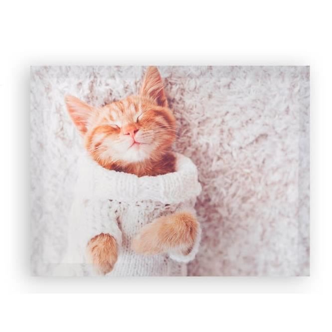 Cadre Toile Tableau Chaton Chat 40 X 30 Cm Cdiscount Maison