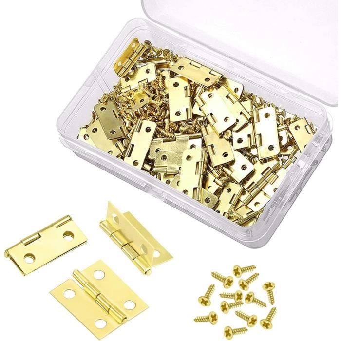Lot de 50 mini charnières en laiton Petites pour bricolage avec 200 vis Petites charnières