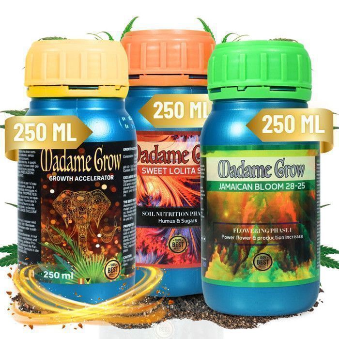 Engrais Organique Madame Grow Growth Accelerator 250ml - Accélérateur Racines Et Floraison 100% Bio, Super Concentré - 7