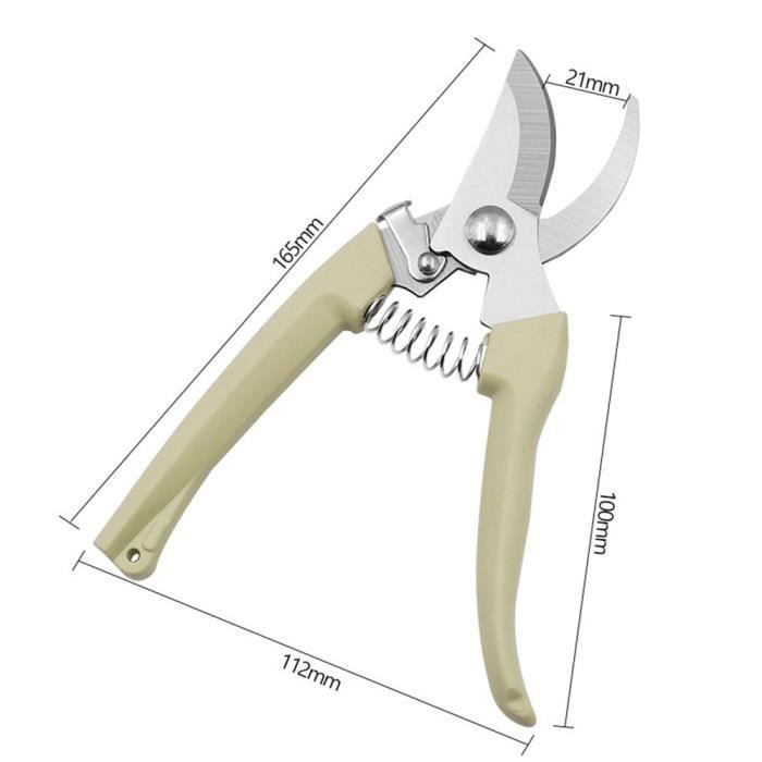 Cisaille à Gazon, Sécateur à Lame Droite - Longueur Totale 20 Cm, Lame 6 Cm - Acier Inoxydable - Pour Jardin, Bonsaï, Arbres Fruitiers