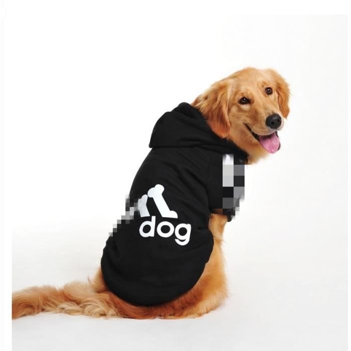 Pull grand chien 2025