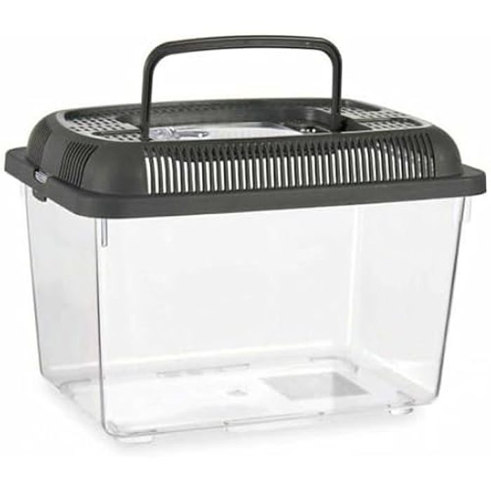 Meilleurs prix pour Bocal à poisson Avec poignée Moyen Anthracite Plastique 3 L 17 x 16 x 24 cm (12 Unités)