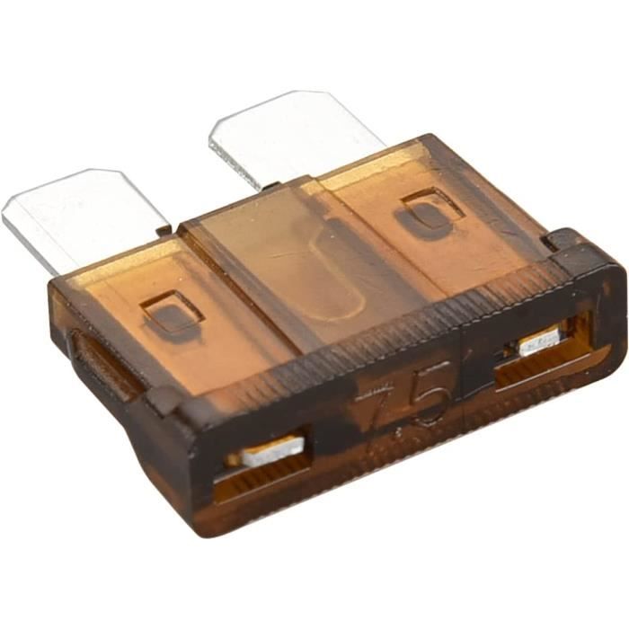 Lot De 5 Fusibles à Lame 60A Pour Voiture Camion 48V - Protection Électrique Haute Performance