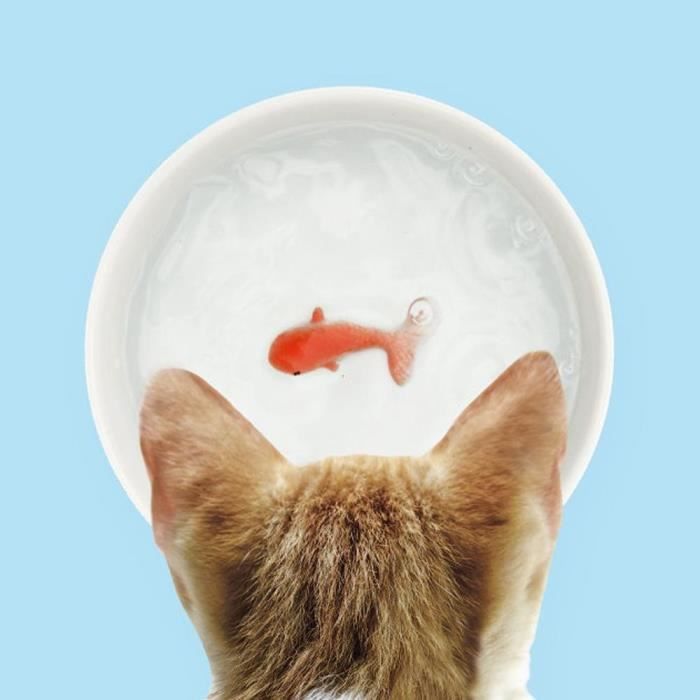 Bol Pour Chat Avec Poisson Rouge Au Fond Suck Uk Blanc Cdiscount Puericulture Eveil Bebe