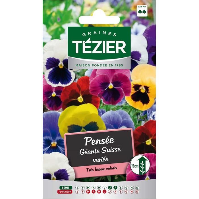Sachet Graines - Tezier - Pensée géante Suisse variée -- Fleurs  bisannuelles - Sachet Fleurs - Fleurs bisannuelles à utiliser sur -  Cdiscount Jardin