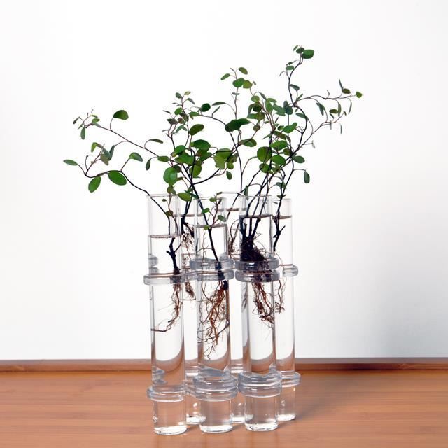 Tubes d'eau en plastique transparent pour arrangement floral (L