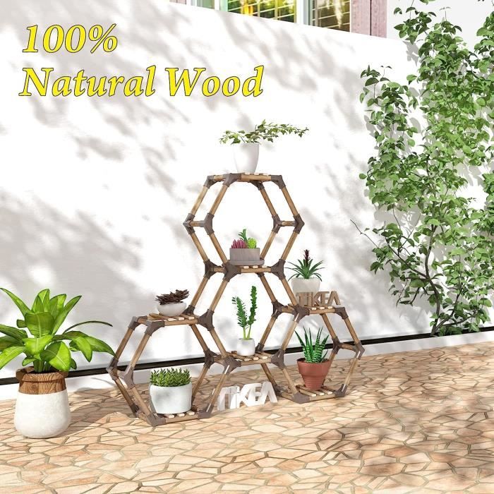 Allinside Hexagonal Support pour Plantes d'intérieur, étagère pour Lantes  d'extérieur, étagère à Plantes Transformable pour Fenêtre, Jardin, Balcon,  Salon - 7 Tablettes Polycarbonate (PC) : : Jardin