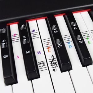 PACK PIANO - CLAVIER Piano Et Clavier - Notes Set Entier Autocollants Boutons Blancs Noirs Chansons