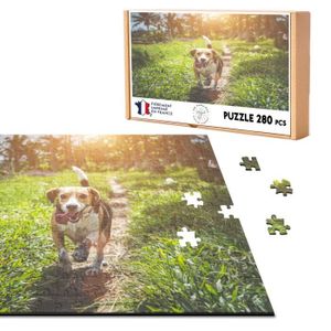 PUZZLE Puzzle Classique 280 pièces Beagle en Ballade Chie