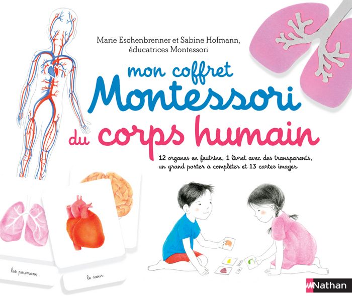 Mon Coffret Montessori Du Corps Humain Avec 12 Organes En Feutrine 1 Livret Avec 4 Transparents 13 Cartes Et 1 Poster A Completer Cdiscount Librairie Mon Coffret Montessori Du Corps Humain Avec 12 Organes En Feutrine 1 Livret Avec 4 Transparents 13 Cartes Et 1 Poster A Completer Cdiscount Librairie