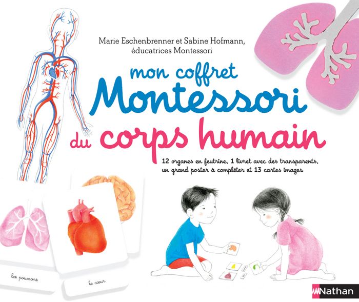 100 % Complet Jeu Corps Humain Buste Éducatif Coffret Educatif