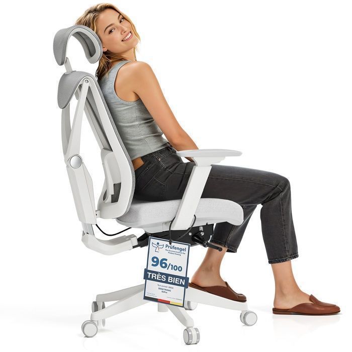 Desktronic Chaise de Bureau Ergonomique réglable SitPro 10 points de réglage 3D Accoudoir Gris