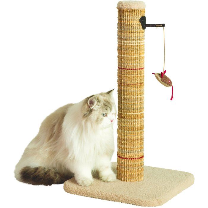 Poteau Griffoir Chat ZOLUX Sisal – Avec Jouet Suspendu - vue 2